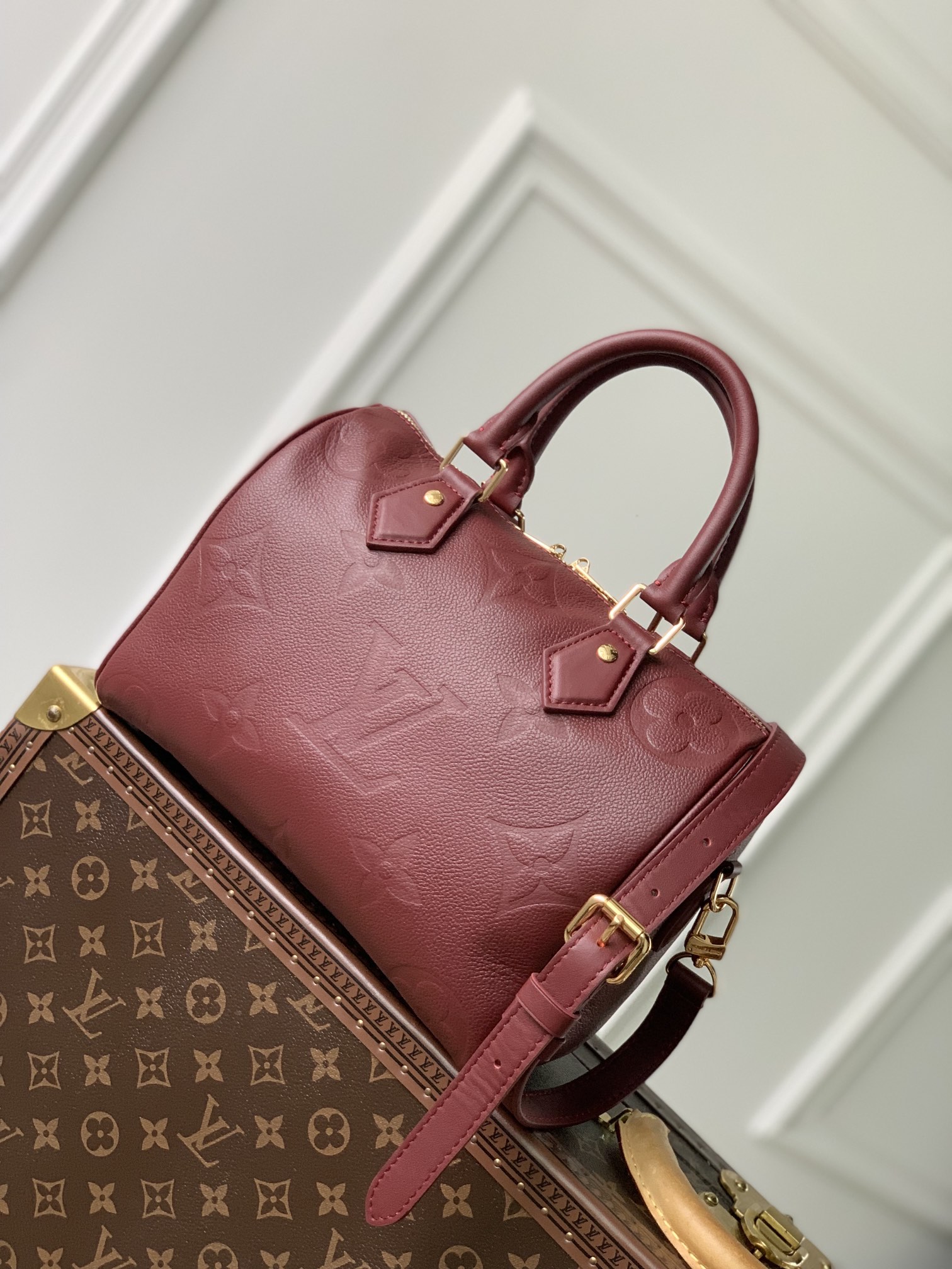 LV Speedy Bags